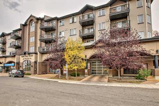 Main Photo: 403 1727 54 Street SE in Calgary: Penbrooke Meadows Apartment for sale : MLS®# A2082176