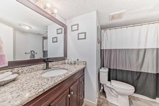 Photo 36: 303 Temple Close NE in Calgary: Temple Detached for sale : MLS®# A2113673