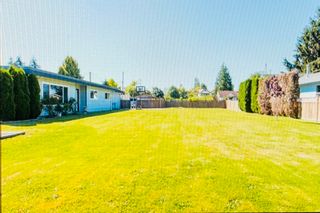 Photo 8: 22621 BROWN Avenue in Maple Ridge: East Central House for sale : MLS®# R2797847