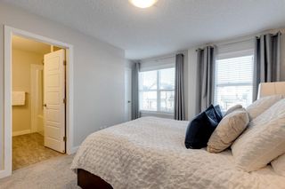 Photo 24: 291 Masters Row SE in Calgary: Mahogany Detached for sale : MLS®# A2018323