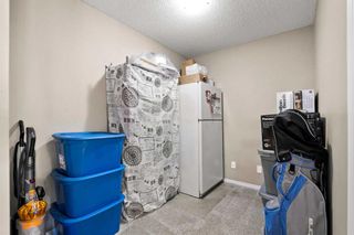 Photo 27: 2112 1317 27 Street SE in Calgary: Albert Park/Radisson Heights Apartment for sale : MLS®# A2129187