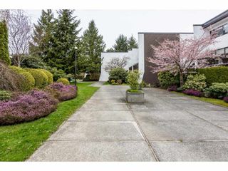 Photo 11: 6 7359 MONTECITO Drive in Burnaby: Montecito Townhouse for sale (Burnaby North)  : MLS®# R2253155