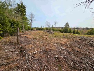 Photo 22: Lot 11 Kingfisher Lane in First South: 405-Lunenburg County Vacant Land for sale (South Shore)  : MLS®# 202309138