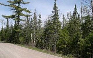 Main Photo: 8 CANOE POINT ( LOT 8) in ST. JOSEPH ISLAND: Vacant Land for sale : MLS®# SM88200