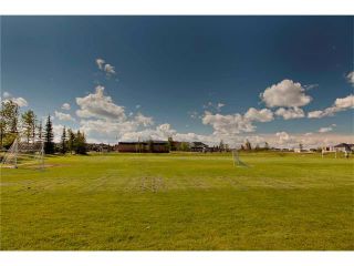 Photo 40: 229 WENTWORTH Park SW in Calgary: West Springs House for sale : MLS®# C4078301