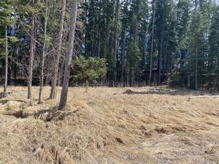 Photo 1: 175 Woodfrog Way: Rural Mountain View County Residential Land for sale : MLS®# A2016010
