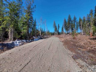 Photo 13: LOT 1 CARIBOO Highway in Prince George: Airport Land for sale (PG City South East)  : MLS®# R2711464