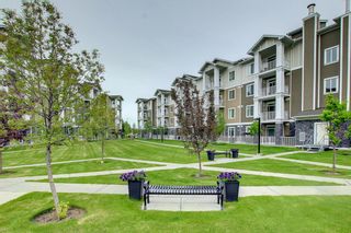 Photo 40: 3306 522 Cranford Drive SE in Calgary: Cranston Apartment for sale : MLS®# A1227906