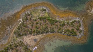 Photo 6: Squirrel Island in Forbes Point: 407-Shelburne County Vacant Land for sale (South Shore)  : MLS®# 202325527