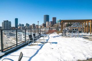 Photo 23: 404 515 4 Avenue NE in Calgary: Bridgeland/Riverside Apartment for sale : MLS®# A2121224