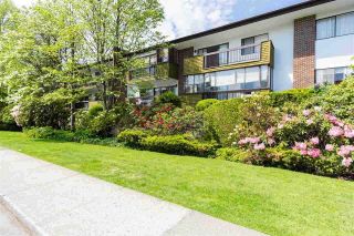 Photo 12: 219 6669 TELFORD Avenue in Burnaby: Metrotown Condo for sale (Burnaby South)  : MLS®# R2805368