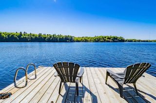 Photo 1: 982 East Shore Road in Georgian Bay: House (Bungalow) for sale : MLS®# X5755566