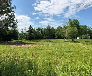 Photo 5: 81 Murphy Road in Cape John: 108-Rural Pictou County Vacant Land for sale (Northern Region)  : MLS®# 202215614