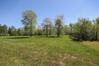 Photo 48: 40044 GARVEN RD 66N Road in Springfield Rm: RM of Springfield Residential for sale (R04)  : MLS®# 202214795