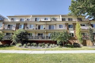 Photo 26: 203 809 4 Street NE in Calgary: Renfrew Apartment for sale : MLS®# A2118564