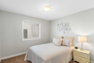 Photo 21: 140 Evansbrooke Landing NW in Calgary: Evanston Detached for sale : MLS®# A2102072