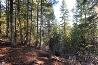 Photo 11: Lot 22 Vickers Trail: Anglemont Vacant Land for sale (North Shuswap)  : MLS®# 10243424