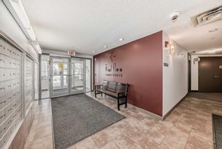 Photo 18: 226 20 Royal Oak Plaza NW in Calgary: Royal Oak Apartment for sale : MLS®# A2117494