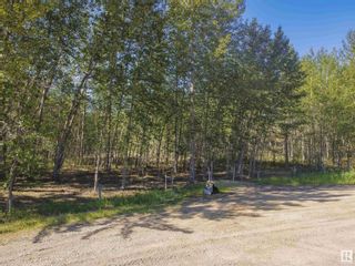 Photo 3: 8-51305 RGE RD 261: Rural Parkland County Vacant Lot/Land for sale : MLS®# E4385762