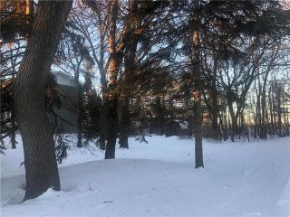 Photo 9: 0 14th Street NW in Portage la Prairie: Vacant Land for sale : MLS®# 202126396