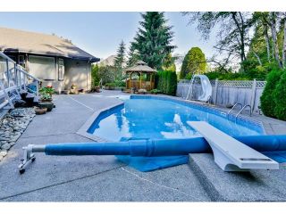 Photo 3: 14133 30A Avenue in Surrey: Elgin Chantrell House for sale in "Elgin" (South Surrey White Rock)  : MLS®# R2632604