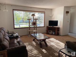 Photo 9: 16103 100 Street in Edmonton: Zone 27 House for sale : MLS®# E4300290