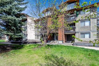 Main Photo: 103A 7301 4A Street SW in Calgary: Kingsland Apartment for sale : MLS®# A2133281