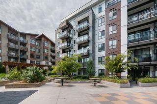 Photo 27: a414 20838 78B Avenue in Langley: Willoughby Heights Condo for sale : MLS®# R2865897