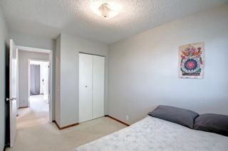Photo 28: 40 BERWICK Rise NW in Calgary: Beddington Heights Semi Detached for sale : MLS®# A1228960