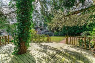 Photo 26: 2621 141 Street in Surrey: Sunnyside Park Surrey House for sale (South Surrey White Rock)  : MLS®# R2813197