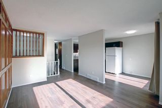 Photo 3: 174 Abalone Place NE in Calgary: Abbeydale Semi Detached for sale : MLS®# A1225319