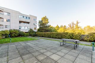 Photo 17: 302 1100 Union Rd in Saanich: SE Maplewood Condo for sale (Saanich East)  : MLS®# 919207