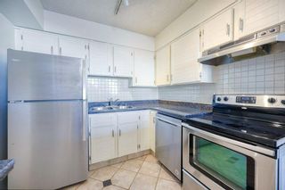 Photo 14: 402 1215 Cameron Avenue SW in Calgary: Lower Mount Royal Apartment for sale : MLS®# A2105989