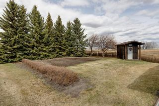 Photo 19: 266105 80 Street W: Rural Foothills County Detached for sale : MLS®# A1213123