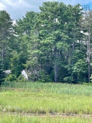 Photo 16: Lot Well Road in Martins River: 405-Lunenburg County Vacant Land for sale (South Shore)  : MLS®# 202219158
