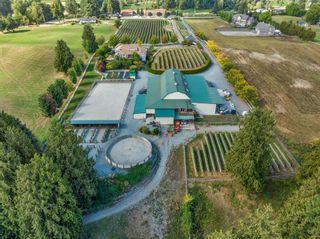 Photo 7: 5290 OLUND Road in Abbotsford: Bradner Agri-Business for sale in "SEASIDE PEARL FARMGATE WINERY" : MLS®# C8054389