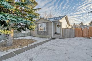 Photo 22: 80 Erin Croft Place SE in Calgary: Erin Woods Detached for sale : MLS®# A2021807