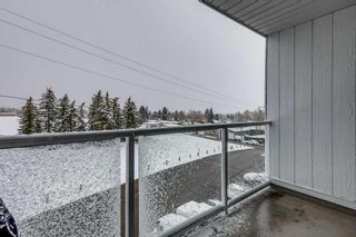 Photo 5: 412A 4455 Greenview Drive NE in Calgary: Greenview Apartment for sale : MLS®# A2124113