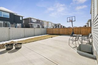 Photo 45: 236 Red Sky Terrace NE in Calgary: Redstone Detached for sale : MLS®# A2125780