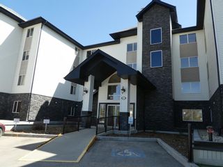 Main Photo: 202 5601 KERRY WOOD Drive: Red Deer Apartment for sale : MLS®# A2117767