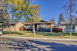 Photo 49: 6108 28 Avenue NE in Calgary: Pineridge Detached for sale : MLS®# A2082639