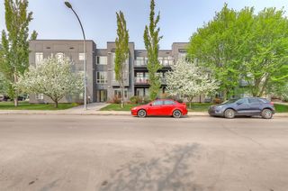Photo 27: 209 1939 30 Street SW in Calgary: Killarney/Glengarry Apartment for sale : MLS®# A2051209