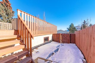 Photo 32: 40 Bearberry Crescent NW in Calgary: Beddington Heights Detached for sale : MLS®# A2023373