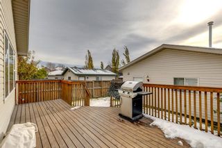 Photo 43: 134 Elgin Way SE in Calgary: McKenzie Towne Detached for sale : MLS®# A2008966