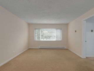 Photo 12: 1259 PLATEAU DRIVE in North Vancouver: Pemberton Heights Condo for sale : MLS®# R2495881