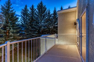 Photo 43: 1507 96 Avenue SW in Calgary: Pump Hill Detached for sale : MLS®# A2034780
