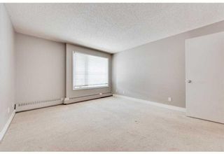Photo 10: 305 3737 42 Street NW in Calgary: Varsity Apartment for sale : MLS®# A2129816