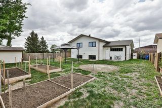 Photo 4: 3901 Heritage Drive: Taber Detached for sale : MLS®# A2049469