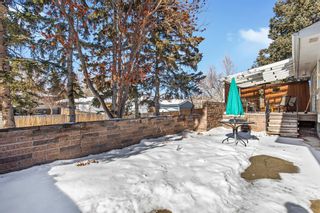 Photo 44: 5835 Dalridge Hill NW in Calgary: Dalhousie Detached for sale : MLS®# A2032595