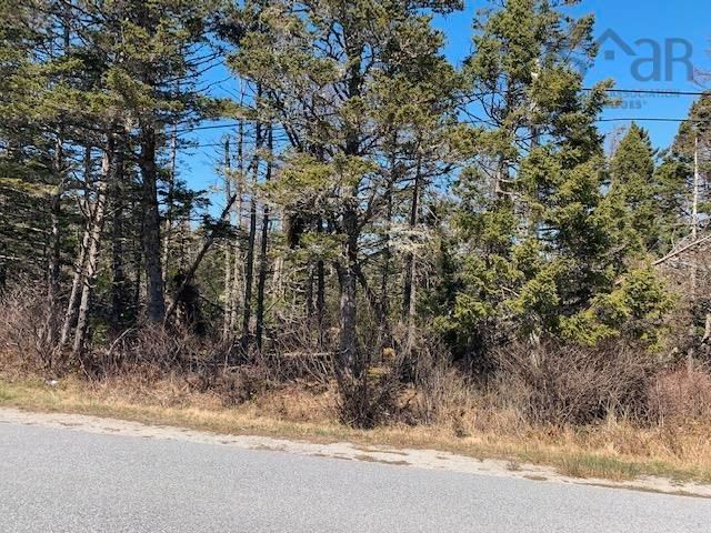 Main Photo: Stoney Island Road in Stoney Island: 407-Shelburne County Vacant Land for sale (South Shore)  : MLS®# 202306677